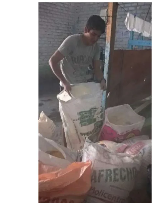 Fig. 7: Preparación de las raciones para la dieta de los pollos  