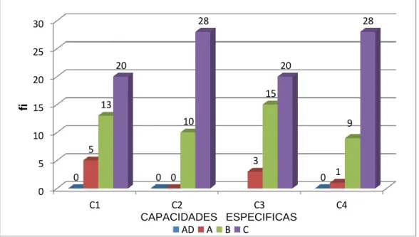 GRÁFICO  N° 01 