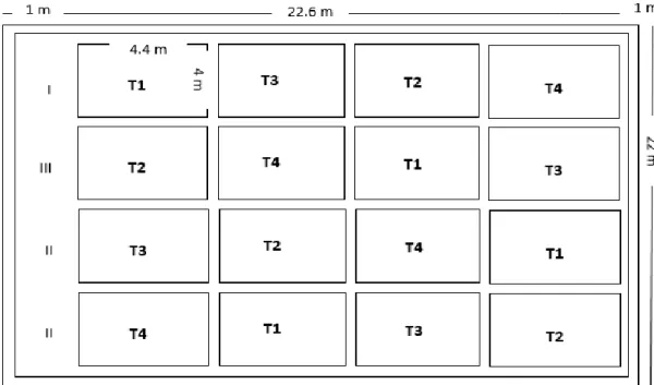 Fig. 2 Croquis de una unidad experimental 