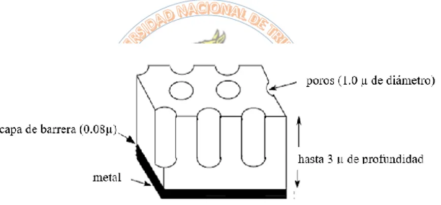 Figura 4. Estructura de la capa de anodizado.   Fuente: P&amp;A Internacional (2004) 
