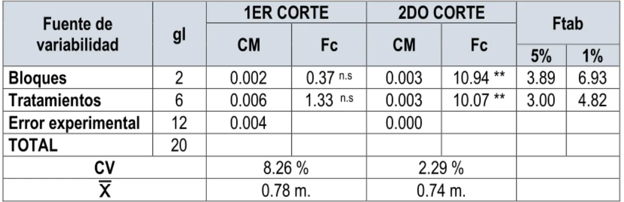 Cuadro 8. Resumen del Análisis de varianza para la variable altura de planta  al 1er y 2do corte  