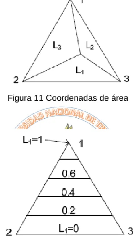 Figura 11 Coordenadas de área