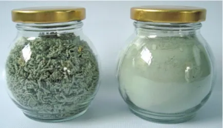 Figura 5. Bioplaguicidas a base de Trichoderma koningiopsis Th003 formulados como granulado dispersable (WG) y polvo mojable (WP).