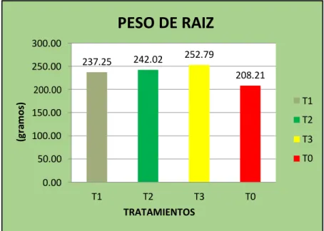 Fig. N.º 03. Peso de raíz. 