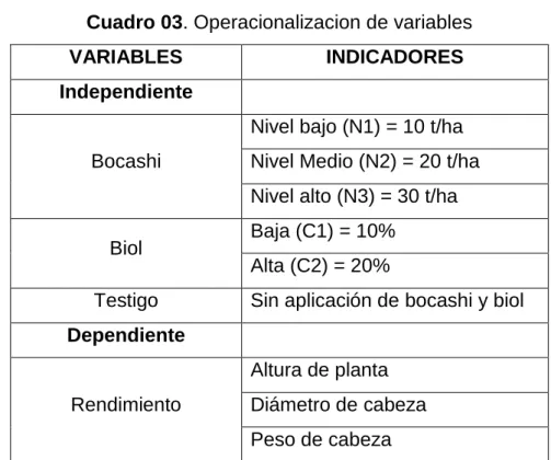 Cuadro 03. Operacionalizacion de variables 