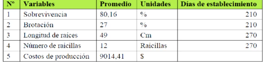 Tabla 04. Resumen de todas las variables