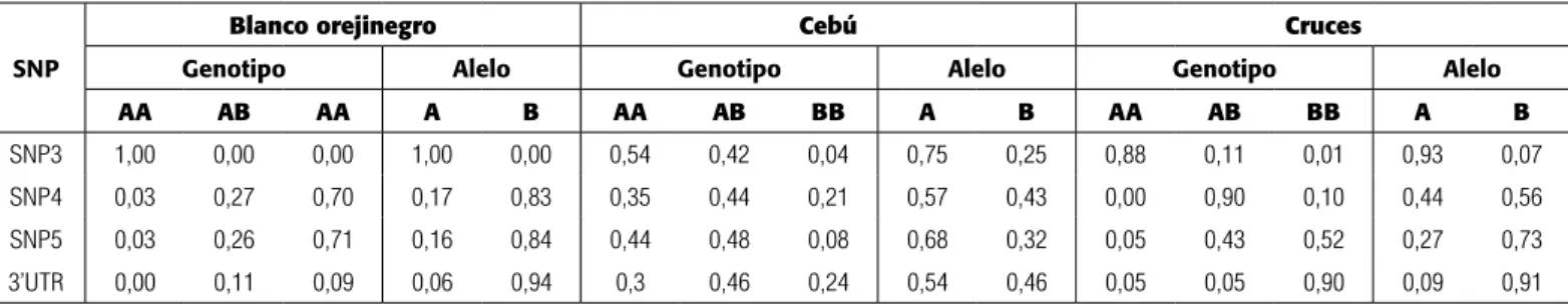 Tabla  2. Frecuencias genotípicas y alélicas de las variantes SNP del gen Nramp1 en las razas blanco orejinegro y cebú, y animales cruzados (con  serología positiva a B