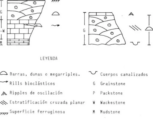 Fig. 2.- Secuencias tipo del Dogger.