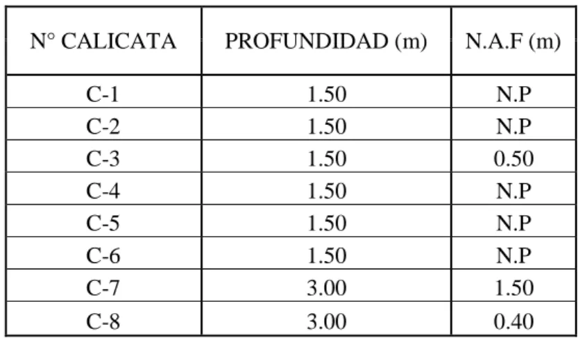 Tabla 12. Descripción de calicatas. 