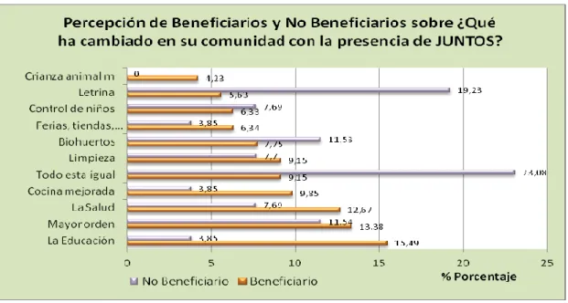 GRÁFICO Nº 12 