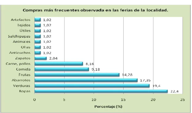 Gráfico Nº 14 