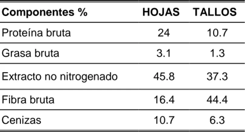 Cuadro 06. Valor nutricional de la alfalfa 