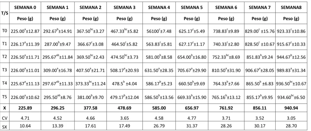 Cuadro  13.  Prueba  de  Duncan  para  los  pesos  de  los  cuyes  machos  en  todas  las  semanas  de  evaluación  al  5%