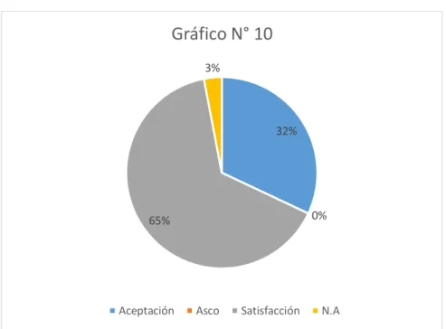 Gráfico N° 10
