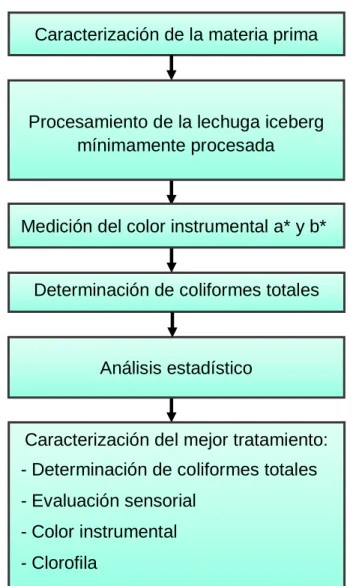 Figura 1. Esquema experimental del trabajo de investigación. 