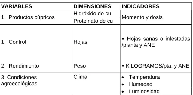 Cuadro  3. Operacionalización de variables 