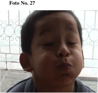 Foto No. 27