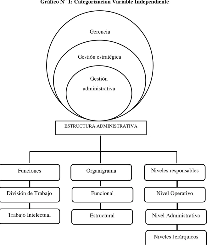 Gráfico N° 1: Categorización Variable Independiente 