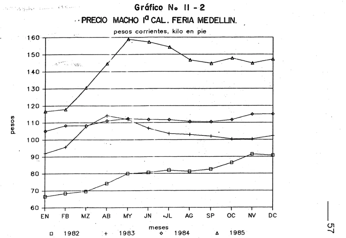 Gráfico  N0  II 2