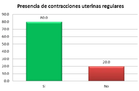 Gráfico N° 12 