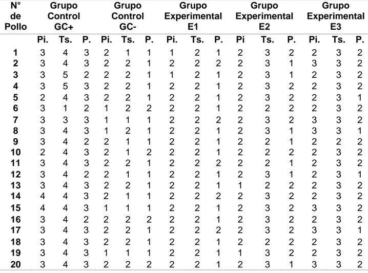 CUADRO N°7. Registro de evaluación post-tratamiento de la  pigmentación de tarsos, pico y pecho del pollo con el palillo (Cúrcuma 