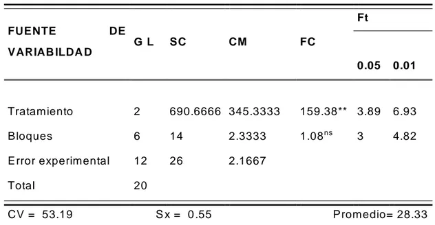 CUADRO  06 .  Diámetro de la cabeza (cm) al momento de cosecha   FUENTE  DE  VARIAB ILDA D   G  L   SC  CM  FC   Ft  0.05  0.01  Tratamiento  2  690.6666  345.3333  159.38**  3.89  6.93  Bloques  6  14  2.3333  1.08 ns 3  4.82  Error experimental  12  26  