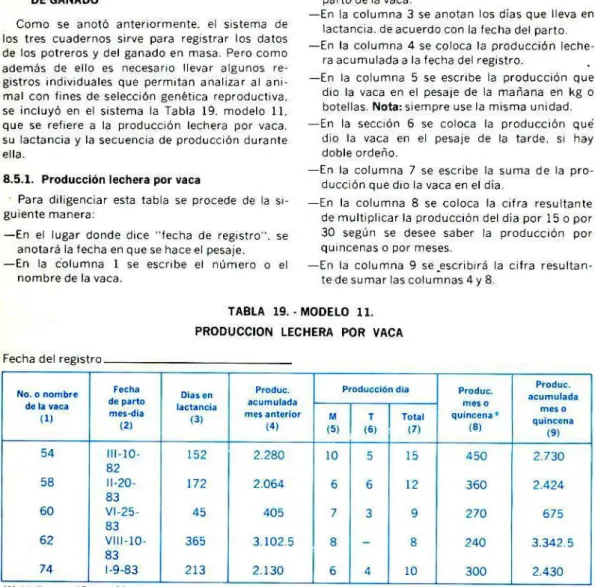 TABLA 19. . MODELO 11.