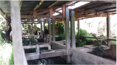 Figura 20. Situación actual del lecho de secado de la planta de tratamiento del centro  poblado de Ñausa 