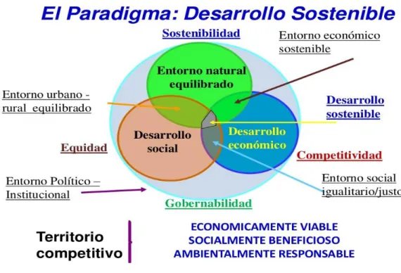 Gráfico 10: Desarrollo sostenible 