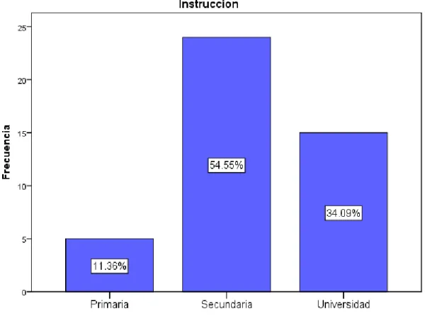 Gráfico 12: Nivel de instrucción 