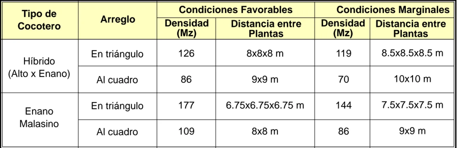 Cuadro 5:  Distanciamientos Recomendados para la Siembra de Cocoteros como Monocultivo