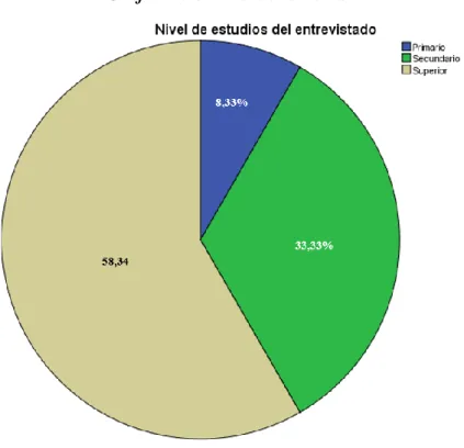 Gráfico N°5 Nivel de estudios 