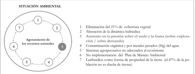 Figura 5.12. Esquema de la situación ambiental para la región de La MojanaSITUACIÓN AMBIENTAL