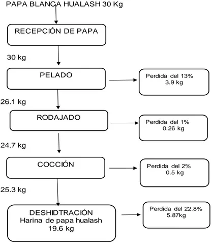 Figura 4. Diagrama de balance de masa de papa blanca hualashRECEPCIÓN DE PAPA