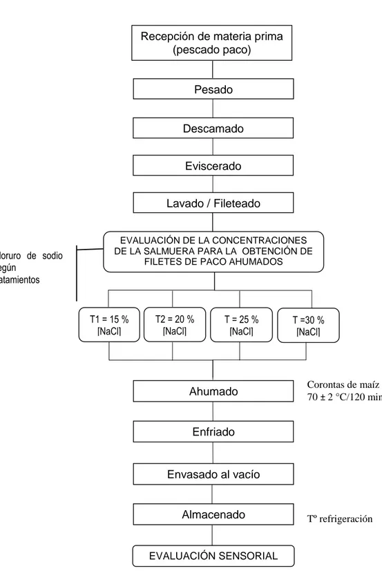 Figura  4.  Flujograma  para  la  evaluación  de  la  concentración  de  la  salmuera en la obtención de filetes de paco ahumados 