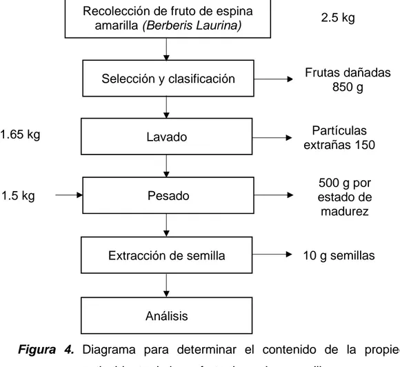 Figura  4.  Diagrama  para  determinar  el  contenido  de  la  propiedad  antioxidante de la   fruta de espina amarilla 