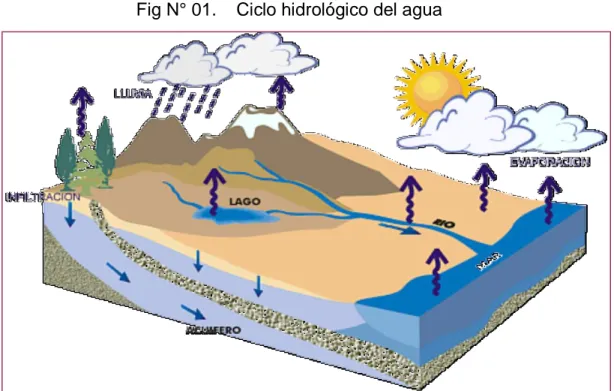 Fig N° 01.    Ciclo hidrológico del agua 