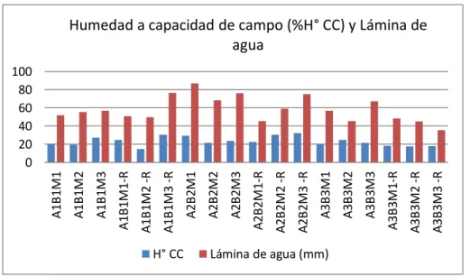 Fig 06. Humedad a capacidad de campo (%H° CC) y la lámina de agua 
