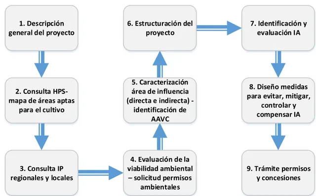 Figura 4: Proceso de planeación ambiental de un proyecto palmero en sus diferentes etapas: 