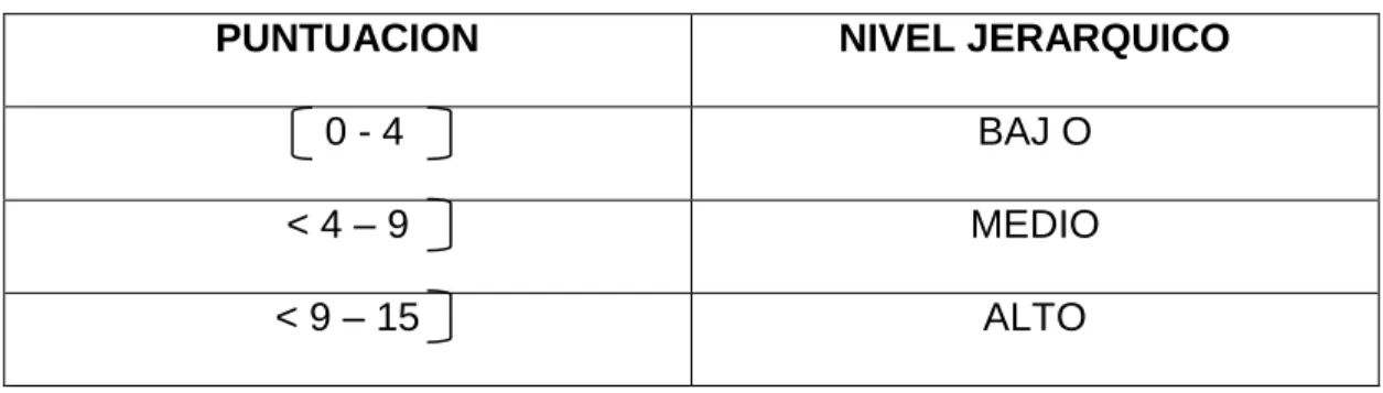 Tabla Nº 11: Puntuación Vs. Nivel Jerárquico 