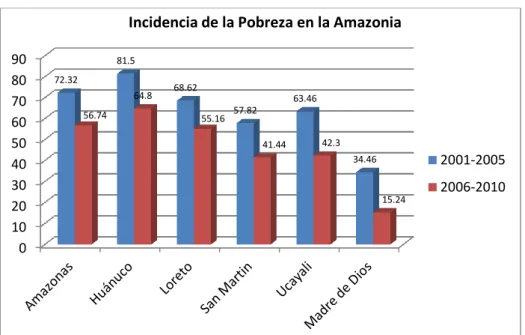 Gráfico Nº 11 