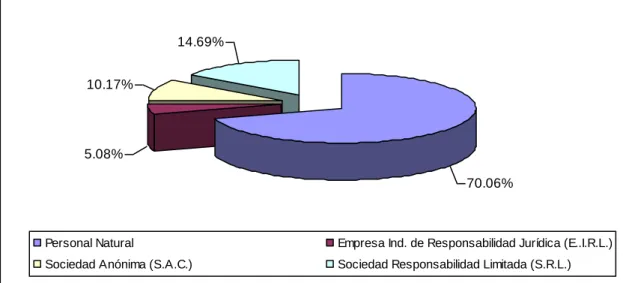 GRÁFICO N° 09 