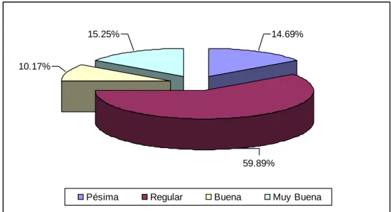 GRÁFICO N° 10 