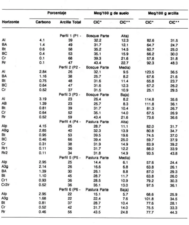 TABLA 2. Capacldad de Intercambo de Catlones (CIC) y valores de carbono y arcllla de los suetos