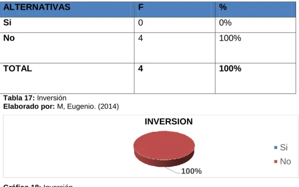 Gráfico 18: Inversión 