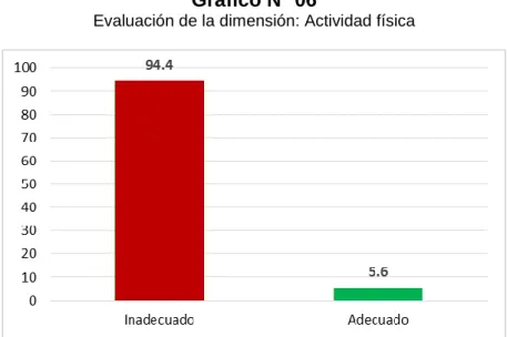 Gráfico N° 06  