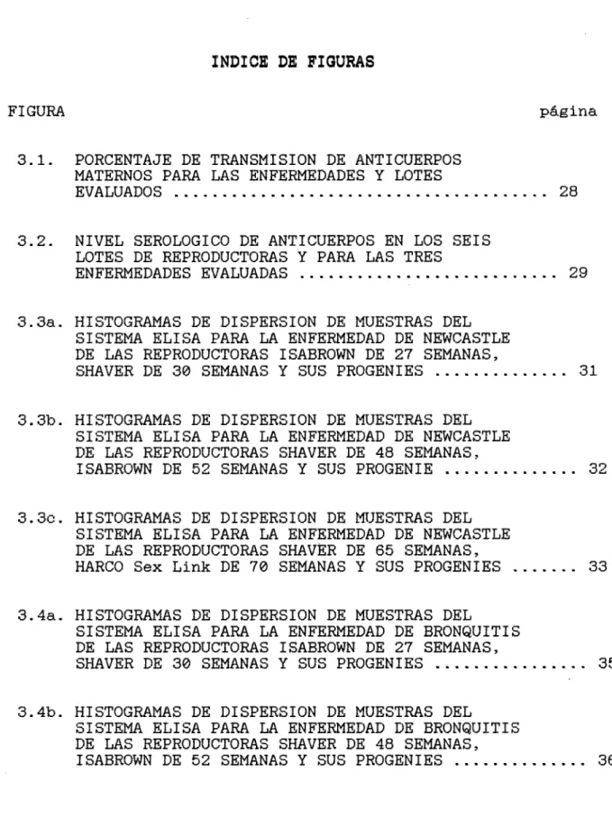 FIGURA	 página