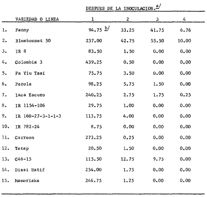 TABLA  6.  Número  promedio  de  lesiones  debido  a  la  raza  IG-l  de  K.  oryzae 