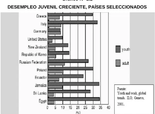 Gráfico N° 1.2 