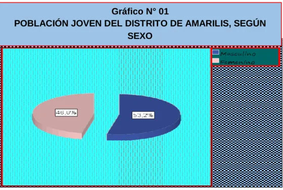 Gráfico N° 01 